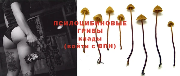 крисы Абдулино