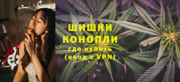 крисы Абдулино