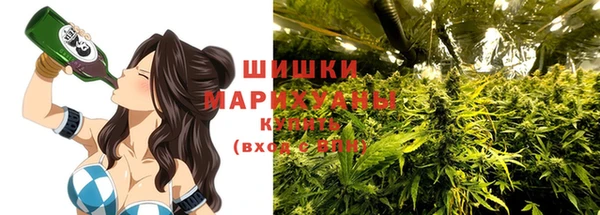 прущий лед Абаза