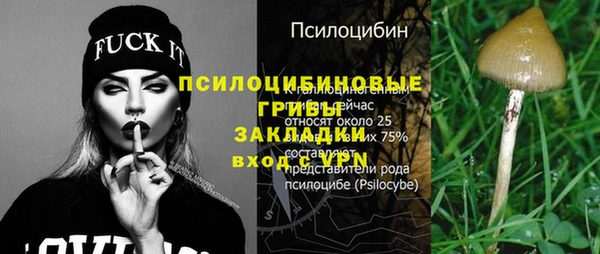 крисы Абдулино